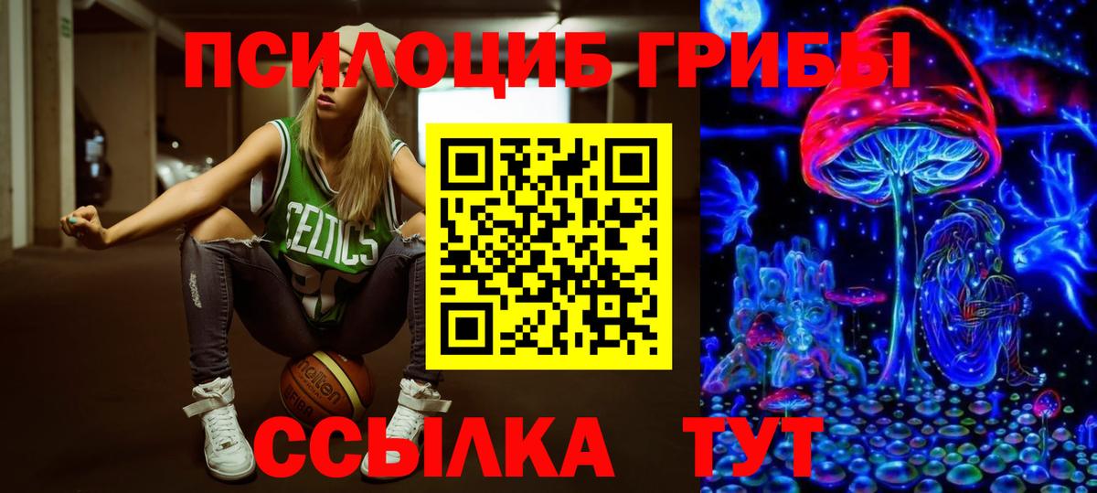 Галлюциногенные грибы Psilocybe Рассказово